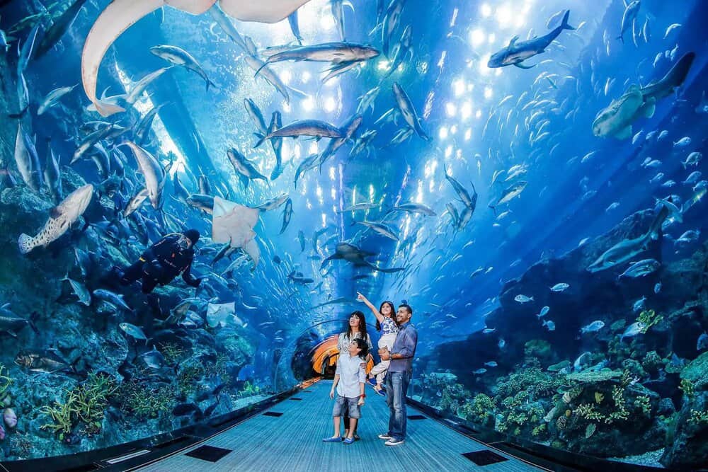 Dubai Aquarium and Underwater Zoo-min