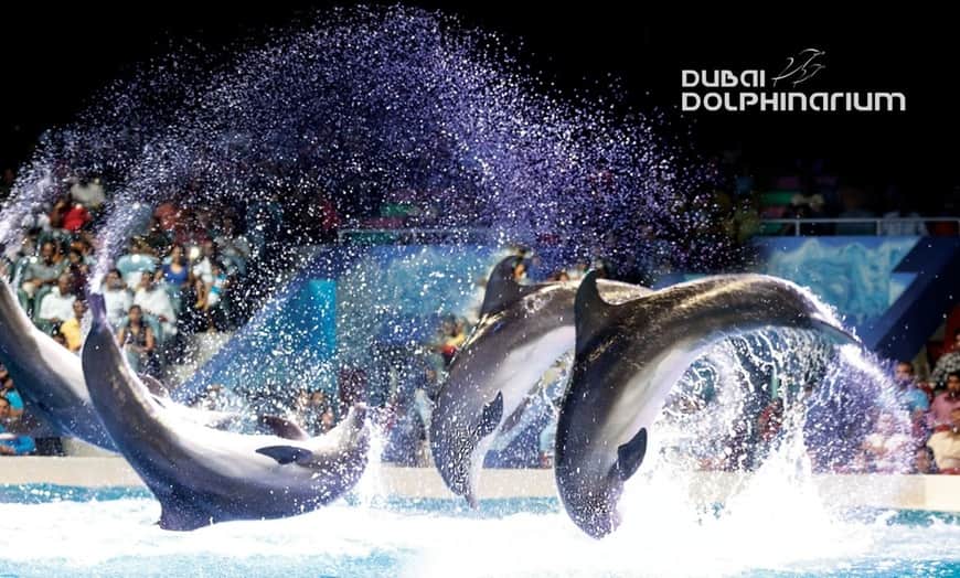 Dubai Dolphinarium