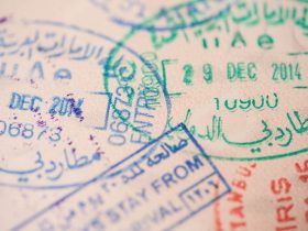 Как проверить статус визы в ОАЭ