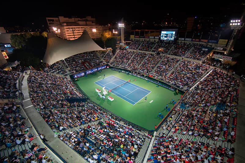 Дубайский чемпионат Dubai Duty Free Tennis Championship