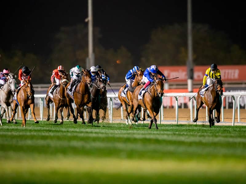 Чемпионат по скачкам Dubai World Cup