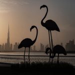 новые туристические достопримечательности в Дубае