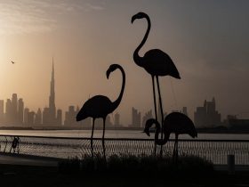 новые туристические достопримечательности в Дубае