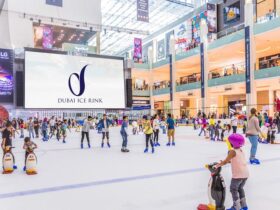 Путеводитель по ледовому катку Dubai Ice Rink