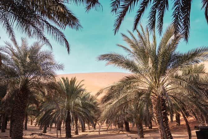 Liwa Oasis